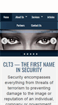 Mobile Screenshot of clt3consulting.com